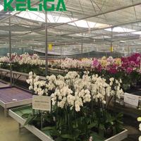Keliga Serre en verre intelligente Plantation agricole Serre à travée multiple à usage commercial avec système de pare-soleil