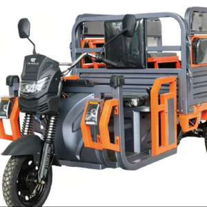 Tricycle 1500W Motor <b>72V</b> <b>Battery</b> Three Wheel Bike With Foldable Seats & Passenger Dual Use Heavy Load 500kg GYT1 Integrated Curv - Product Image 1