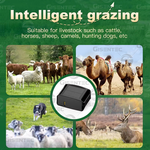 Localizador GPS Q19 4G Solar con Beidou, Resistente al Agua IP68, Larga Duración de Batería, Collar GPS para Ganado, Ovejas, Caballos, Camellos - Product Image 5