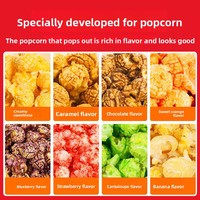 Sucre aromatisant pour pop-corn maison DIY 500g/2.5kg/5kg – Assaisonnement sucré pour la fabrication de pop-corn – Fournisseur OEM en gros
