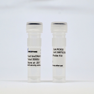 Набор для быстрого зонда Tinzyme bisDNA - Product Image 2