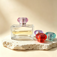 Flacon de parfum carré personnalisé de haute qualité, 100 ml, rechargeable, brun givré, avec couvercle coloré