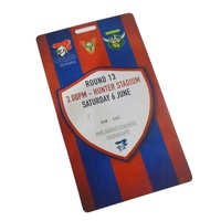Carte d'identité en PVC personnalisée CMJN Full Color Printing Events VIP Pass Card