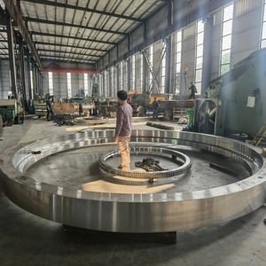 Aangepaste Niet-Standaard Productie Smeden Stalen Visgraattandwielen Op Maat - Product Image 3