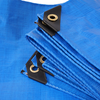 Bâche PE de Chine, autre bâche PVC/PE en tissu, bâche