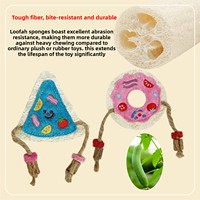 Juguete Ecológico Creativo para Gatos con Esponja de Lufa y Función Luminosa para Masticar y Limpiar los Dientes, Juguete Interactivo para Gatos