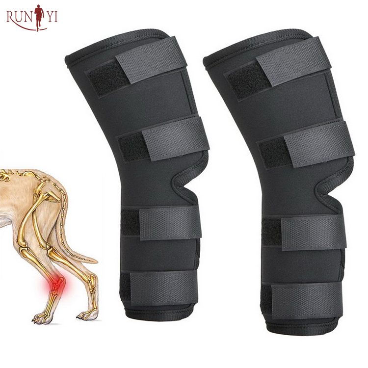 Manchon de protection orthopédique rodillera para perros, genouillère en néoprène pour les jambes de chien, Support pour les pattes arrières