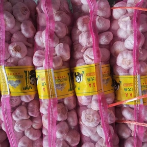 Mercado Mayorista de China, Nuevo Proveedor de <span class=keywords><strong>Ajo</strong></span> Fresco, <span class=keywords><strong>Ajo</strong></span> Blanco Normal, Alho en Bolsa/Caja, Ail G1, Fabricante, <span class=keywords><strong>Ajo</strong></span> <span class=keywords><strong>Morado</strong></span> de Buena Calidad - Product Image 3