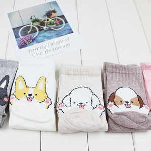 <span class=keywords><strong>Chaussettes</strong></span> en coton à motif chien <span class=keywords><strong>Corgi</strong></span> coréen mignon pour femme, motif animal de dessin animé amusant, respirantes, tricotées, pour l'automne, vente en gros - Product Image 3