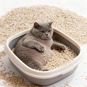 DongnaiPETS 2kg Litière pour chat en tofu blanc et gris Charbon actif Agglomération rapide Toilette sans blocage Biodégradable Écologique - Product Image 1