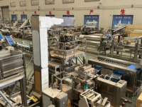 Hot Verkoop Ltk Volautomatische Frites Friteuse Productielijn Voor Aardappelen Met Aangepaste Capaciteit Voor Plantaardige Verwerking