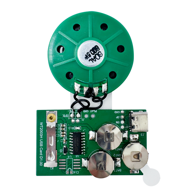 USB Programmable Sound Tongue Sliding Control Record Voice Module for Greeting Cards and Gift Cards