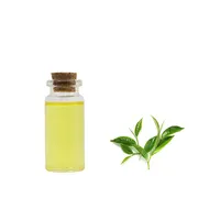 Bester Preis Pure Organic Green Tea Tree Ätherisches Öl für Haar Gesicht und Körper in loser Schüttung