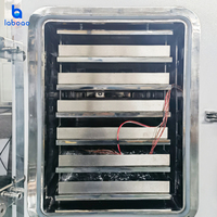 Prix de la machine de lyophilisation sous vide à chauffage pilote alimentaire LABOAO