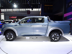Camionnette électrique d'occasion Ukraine 0 tarif Changcheng Great Wall Poer 2023 2024, camion électrique, pick-up électrique, fabricant chinois, voiture de sport électrique - Product Image 2