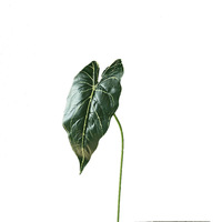 Alocasia bladeren kunstbloemen bosachtige stijl bladwerk bruiloft decoratie kunstgroen binnen woonkamer bloemstukken