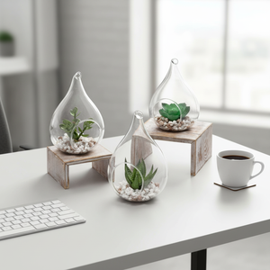 Vaso Terrario in <span class=keywords><strong>Vetro</strong></span> <span class=keywords><strong>per</strong></span> Piante Grasse e Aeree, Vaso a Goccia Soffiato a Mano da Parete, Ecologico, <span class=keywords><strong>per</strong></span> Feste, Ingrosso Jiangsu - Product Image 2