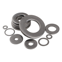 Rondelle plate en acier inoxydable SS304 SS316 SS316L A2-70 A2-80 A4-70 A4-80 DIN125