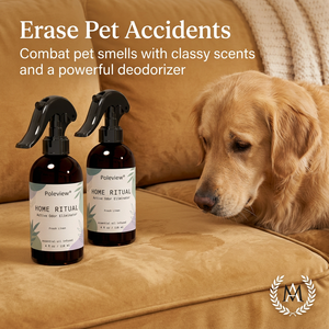 Eliminador de Olores para el Hogar con Aroma Personalizado, Spray Activo para el Hogar con Desodorante para Muebles, <span class=keywords><strong>Ambientador</strong></span> con Aceites Esenciales - Product Image 2