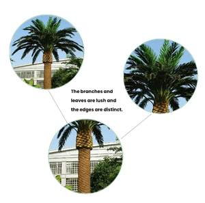 Palma Artificiale Grande Personalizzata a Forma di Alga Marina, <span class=keywords><strong>Albero</strong></span> di Palma Duttifera Artificiale Grande per Giardini e Paesaggistica Alberghiera - Product Image 6