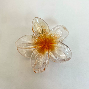 إكسسوارات الشعر الجميلة HAC - 021 - Product Image 5