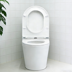 Modern Design UF Material <strong>Toilet</strong> <strong>Seat</strong> Cover Top Installation Closed Front Soft Close <strong>Quick</strong> <strong>Release</strong> 2 Years Warranty Bidet Cover - Product Image 1