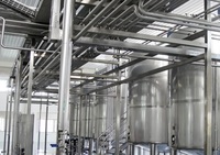 Hoge Snelheid Automatische Sinaasappel Vruchtensap Maken Machine Productielijn