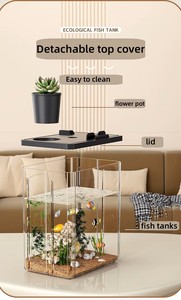 Hete Verkoop Mini Plastic Vissentank Voor Huisdecor Eco-Vriendelijke Aquariumtank Voor Bureaublad - Product Image 4