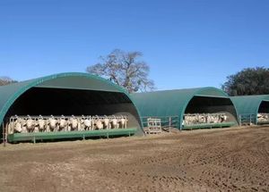 Carpa de Refugio para Animales de Granja, Caballos y Ovejas, de PVC, Resistente al Viento y a la Nieve, Ignífuga, Personalizable y de Fácil Instalación - Product Image 3