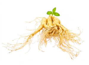 Fabrika kaynağı saf <span class=keywords><strong>Ginseng</strong></span> sibirya <span class=keywords><strong>Ginseng</strong></span> amerika özü sibirya <span class=keywords><strong>Ginseng</strong></span> ekstresi - Product Image 2