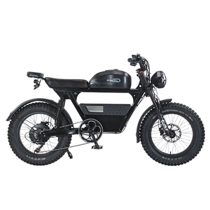 Vélo à pneus larges de 20 pouces pour adultes, moteur 1500W 52V, amortisseurs, freins hydrauliques, vélo électrique tout-terrain pour hommes et femmes, TANK-Pro Ebike - Product Image 3