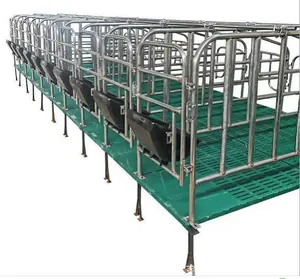 Pig Breeding Equipment Sows Cage Gestation Crate