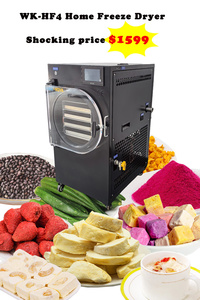 <span class=keywords><strong>Meilleur</strong></span> <span class=keywords><strong>prix</strong></span> 4-6 kg 4 plateaux Lyophilisateur Machine de lyophilisation Sécheur sous vide avec <span class=keywords><strong>pompe</strong></span> industrielle - Product Image 5