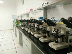 Binoculares BD-SW100M para Estudiantes con Batería - Product Image 3