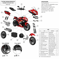 Vélo électrique tout-terrain MTBGO avec logo personnalisé, carénage complet pour adulte, moto électrique sportive avec rétroviseur