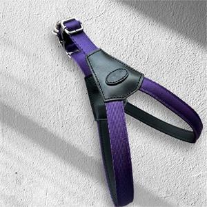 Harnais respirant personnalisé, doux, réglable, en cuir et caoutchouc, laisse pour chien, collier, laisse résistante - Product Image 3