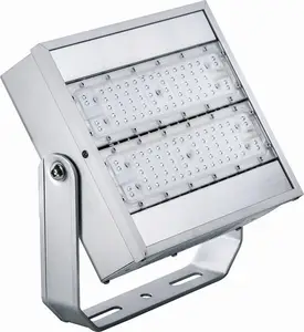 प्रदर्शनी Luminaire आउटडोर IP66 सुरंग प्रकाश 80w 100W 120W का नेतृत्व किया