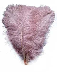 Dyed g purple Crafts Supplier Promotional Cheap Ostrich Feather Large Carnival Ostrich feathers for wedding party decoration