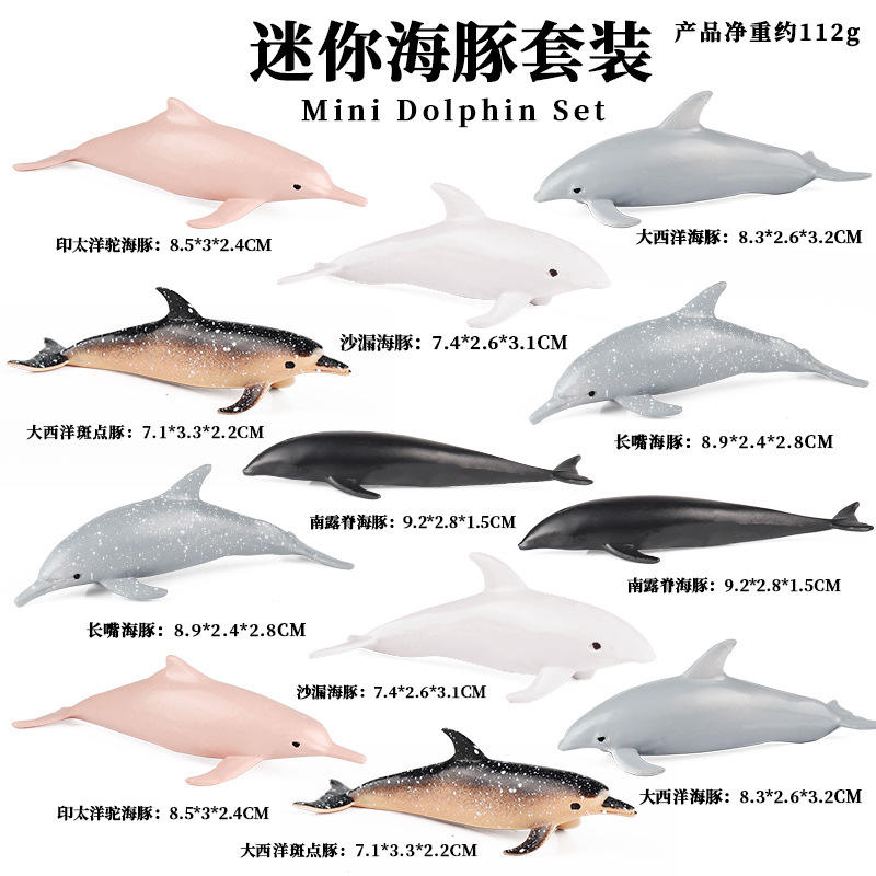 JCT[PY] Mini Dolphin ensemble de 12