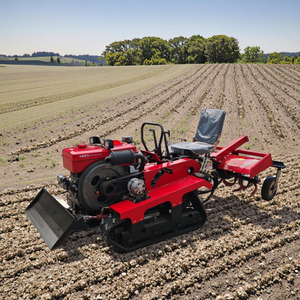 Tractor de Oruga Agrícola Pequeño Personalizable <span class=keywords><strong>para</strong></span> Granjas y Huertos con Múltiples Funciones Componentes Clave Motor y Caja de Cambios - Product Image 3