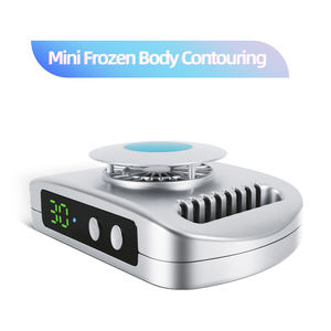 Nuovi prodotti 2024 uso domestico grasso corporeo ridurre Mini antigelo dimagrante prodotto uso domestico modellatura del corpo congelatore - Product Image 6