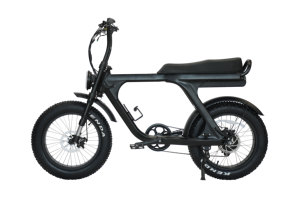 Bicicleta Eléctrica Todoterreno 2024, Nueva Tendencia, para Montaña, Nieve y Playa, Modelo ATV08, con Llantas Anchas - Product Image 2
