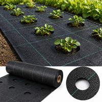 Toile de paillage perforée, tapis anti-herbe en PP tissé avec trous de plantation prédécoupés pour usage agricole