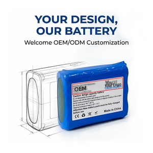 Paquete de Baterías de Litio Personalizadas para Juegos y Cámaras, 3.7V-24V 1000-10000mAh, Recargables de Iones de Litio, OEM - Product Image 1