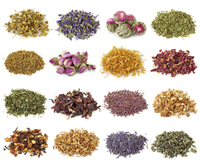 Machine d'emballage de sachets de thé avec ficelle et étiquette pour sachets de thé pyramidaux aux herbes et aux fleurs, machine de comptage et d'ensachage, petite machine de remplissage pour sachets de thé triangulaires