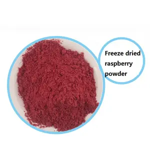 FYFD018P 60mesh bulk dried fruit FD raspberry powder
