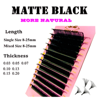 Fournitures en gros pour extensions de cils : Cils russes individuels en cachemire, extensions de cils en velours, plateaux de cils noir mat foncé