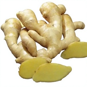 Gingembre frais directement des fermes agricoles - Product Image 4