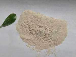 Metionina di Grado Alimentare: Integratore Preciso del Primo Aminoacido Limitante per una Crescita Efficiente - Product Image 3