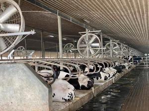 38 pollici altri ventilatori per il bestiame CE motore di azionamento diretto risparmio energetico - Product Image 5